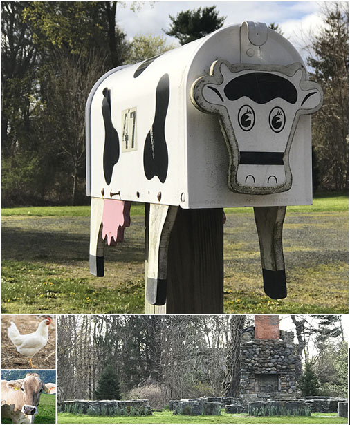 image of cow mailbox at Guilford Center for Children